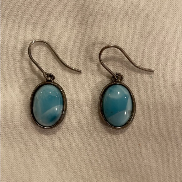 Elegant Silver and Blue Earrings - Picture 1 of 2